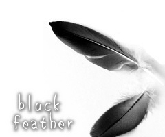 bluck feather