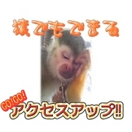 猿でもできるアクセスアップ