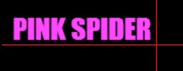  PINK SPIDER 