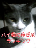 �n�C�l�̉҂��n�����L���O