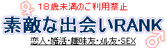 �f�G�ȏo��q�`�m�j