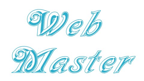 Web Master