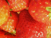 strawberry link