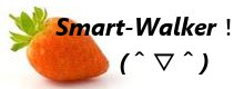Smart-WalkerI(OO)